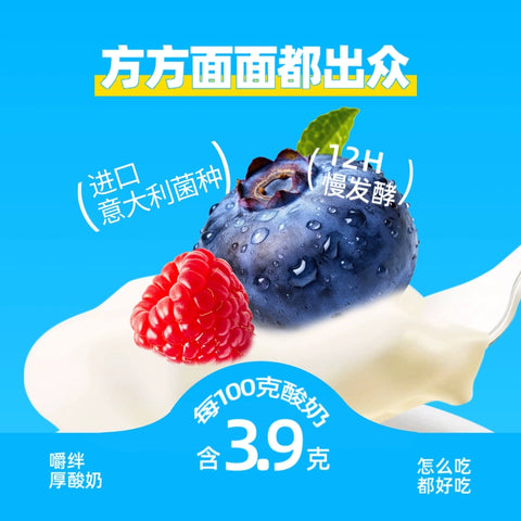 嚼绊 可劲造条状厚酸奶森林莓60g*10 (10 per case)