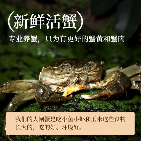 不等 蟹黄捞饭295g (18 per case)