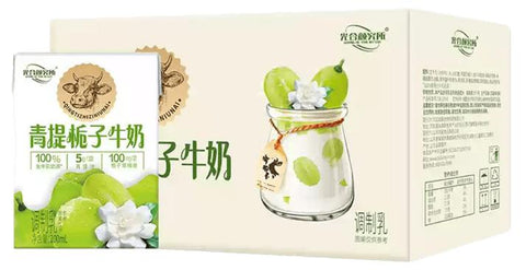 光合颜究所 青提栀子牛奶200ml*6 (1 per case)