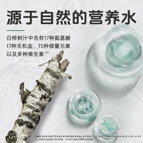 轻上 白桦树汁245ml (1 per case)