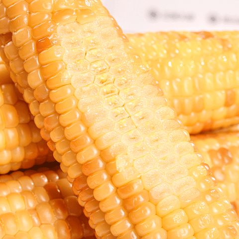 土小乐  西双版纳小花糯玉米1.5kg (5 per case)