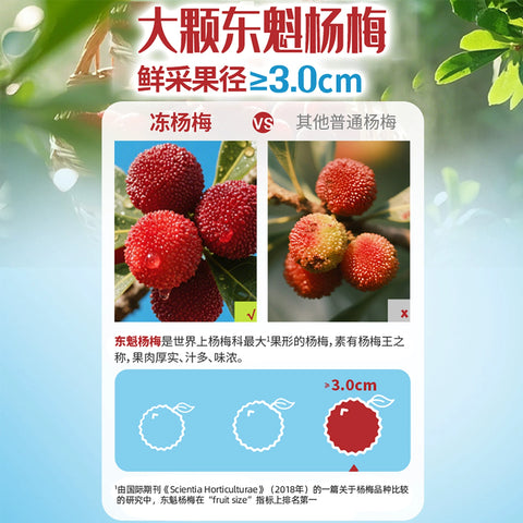 溜溜梅 冻杨梅100g (24 per case)