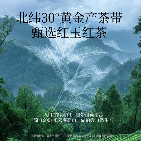 可可满分 茉莉抹茶1L (6 per case)