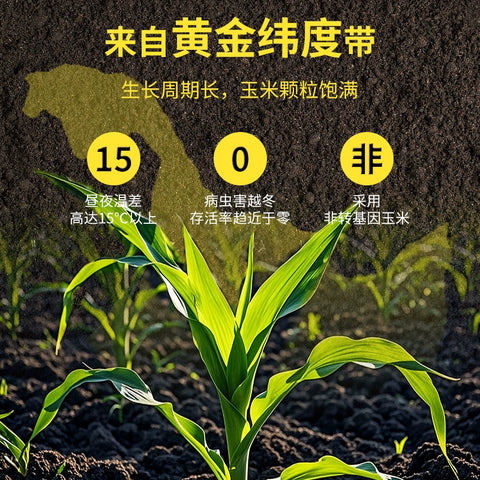呀谷多  糯玉米麻辣火锅味110g (40 per case)
