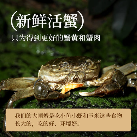 不等 蟹黄酱100g (12 per case)