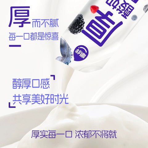 嚼绊 可劲造条状厚酸奶森林莓60g*10 (10 per case)