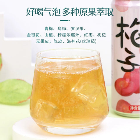 金汇源泉  梅子多多330ml (20 per case)