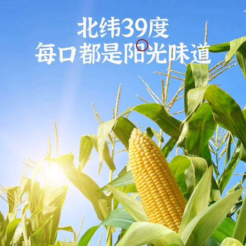 六养 鲜榨玉米汁230g (8 per case)