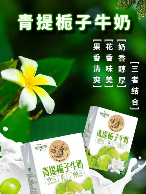光合颜究所 青提栀子牛奶200ml*6 (1 per case)
