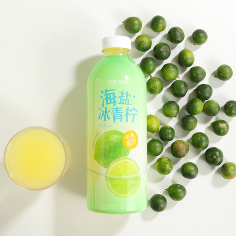 乐源 海盐冰青柠 1L (6 per case)