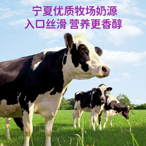 轻上 西梅酸奶220ml (10 per case)