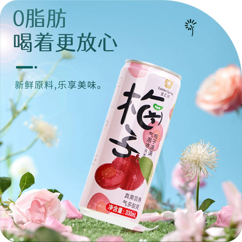 金汇源泉  梅子多多330ml (20 per case)