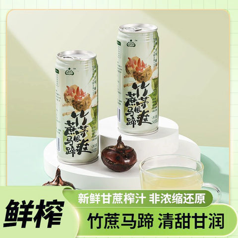 生龙 竹蔗茅根马蹄爽凉茶罐装245ml畅饮 (24 per case)