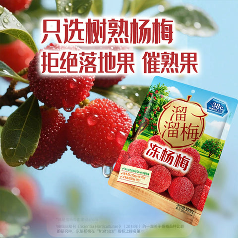 溜溜梅 冻杨梅100g (24 per case)