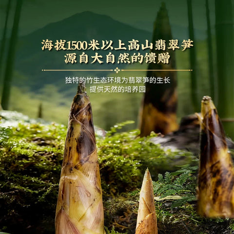 徽记 牛肝菌翡翠笋(椒麻冷泡味)620g (20 per case)