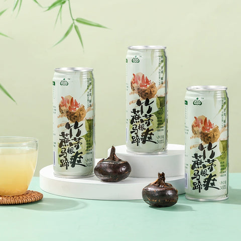 生龙 竹蔗茅根马蹄爽凉茶罐装245ml畅饮 (24 per case)